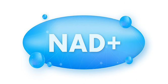 You are currently viewing When to Take NAD: Best Time to Take NAD+