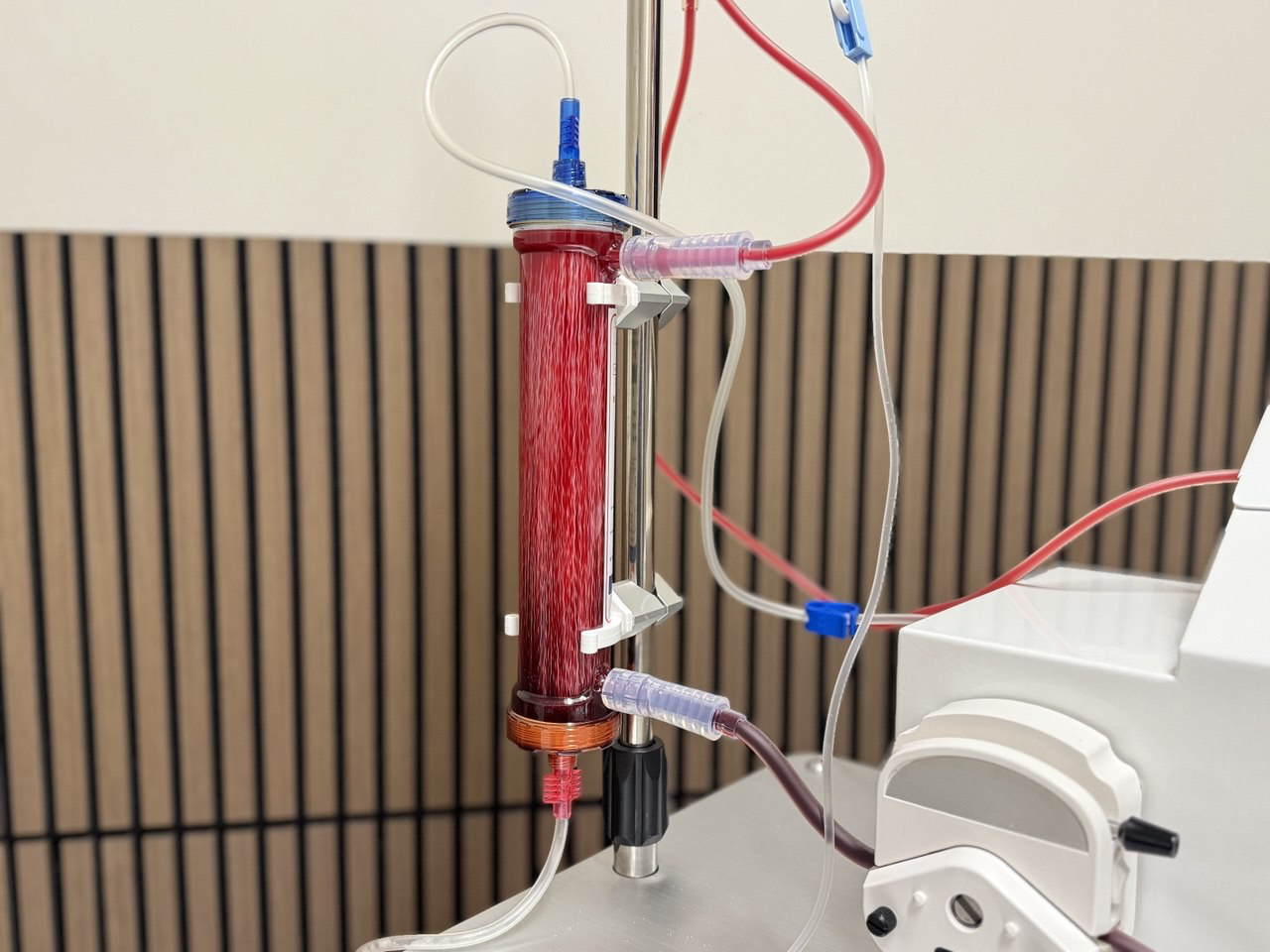 eboo therapy for lyme mold autoimmune